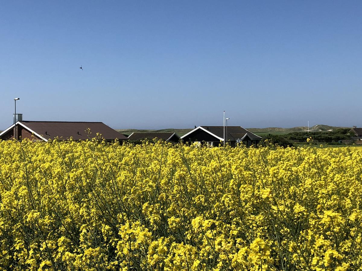 Danhostel Fjaltring エクステリア 写真